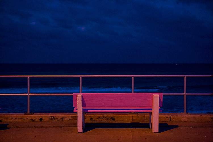 Pink Bench : West Palm Beach : Florida