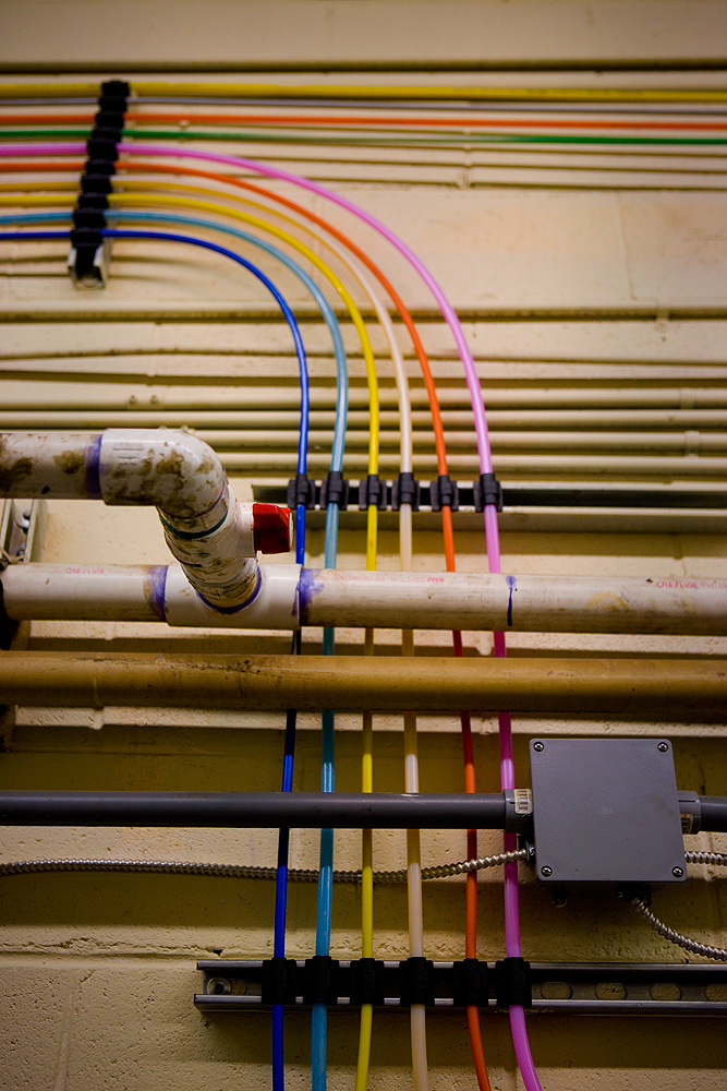 Color Code : Cactus Car Wash : Atlanta