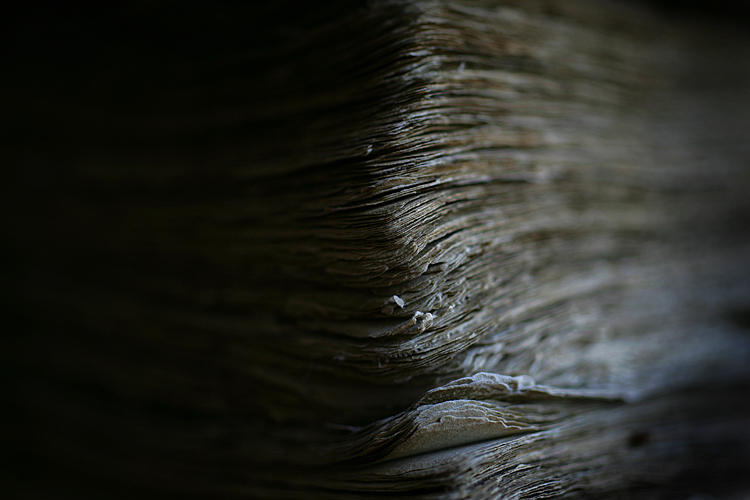 Jezblog Book keeping : London : UK