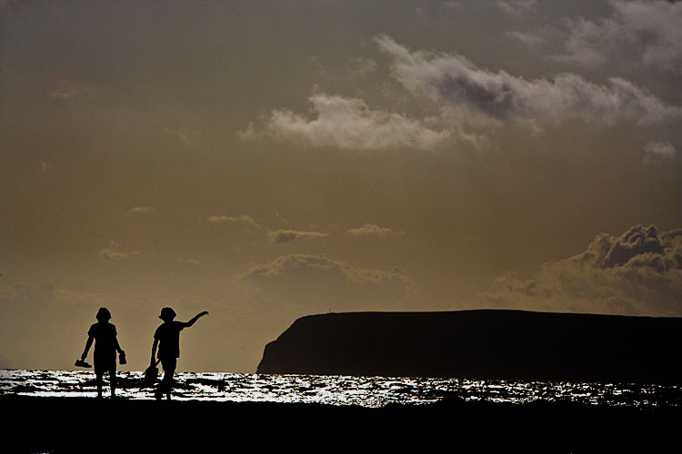 Searching for Crabs and Dinosaurs : Hanover Point : Isle of Wight UK