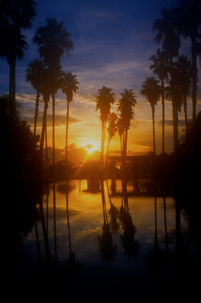 Miami in Dawn Light : Delano Hotel : Florida USA