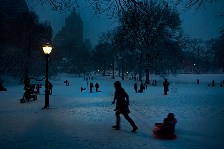 Central Park Sledding : New York City : USA