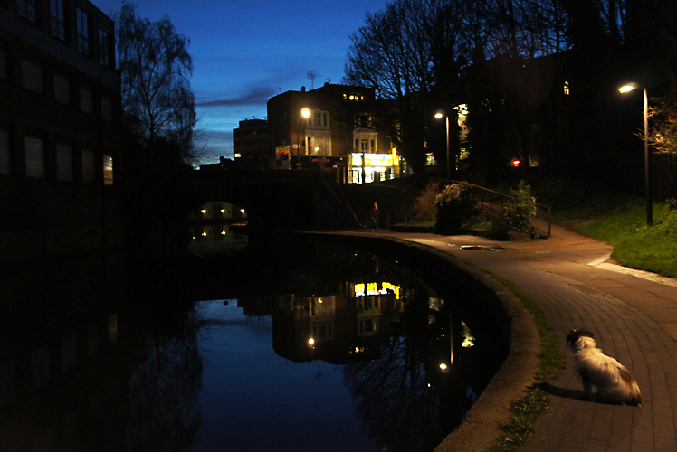 Ringo Camden Guard Dog : Grand Union Canal : London