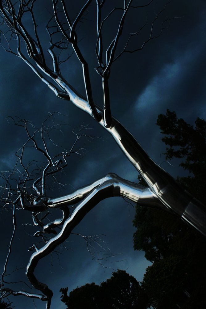 Graft : Metal Tree in Storm : National Gallery of Art Sculpture Garden : DC