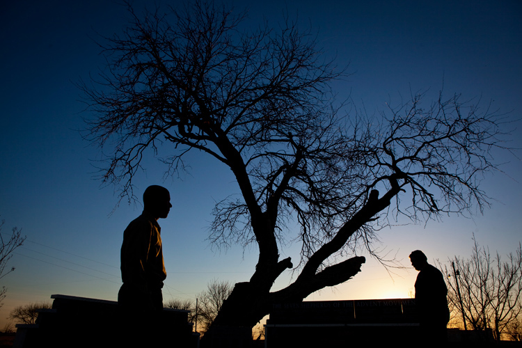 Memorial to the dead of the Waco Siege : The Oldest Tree : Mount Carmel : Texas