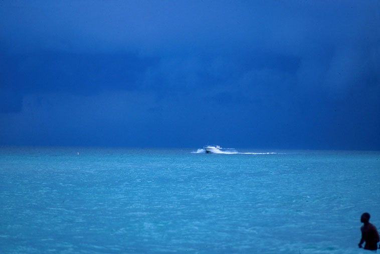 Florida Beautiful Blue : Miami : USA