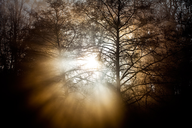 The Futures so Bright You Gotta Wear Shades : Happy New Year : Ludlow