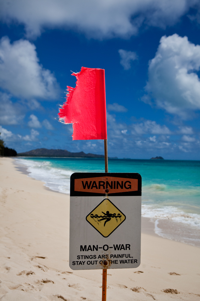 Even in Paradise : Kaiona Beach : Hawaii