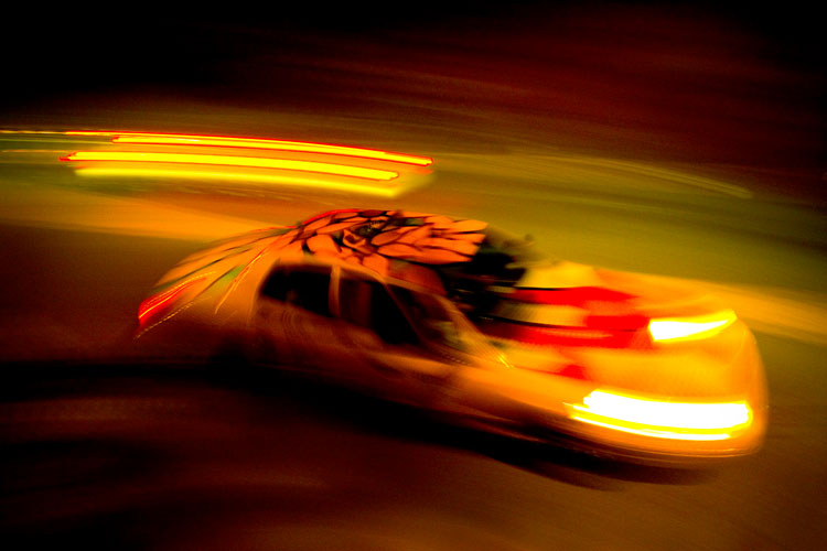 Flower taxi in the Park #2  :  Central Park :  NYC