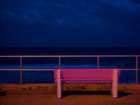 Pink Bench : West Palm Beach : Florida