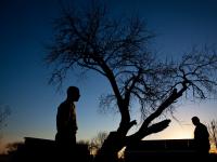 Memorial to the dead of the Waco Siege : The Oldest Tree : Mount Carmel : Texas