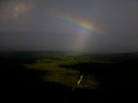 Rainbow Rising from Mississippi Forests : USA