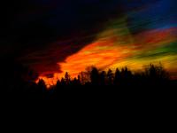 Sunset Train : Delaware: NYC to DC Amtrak Train